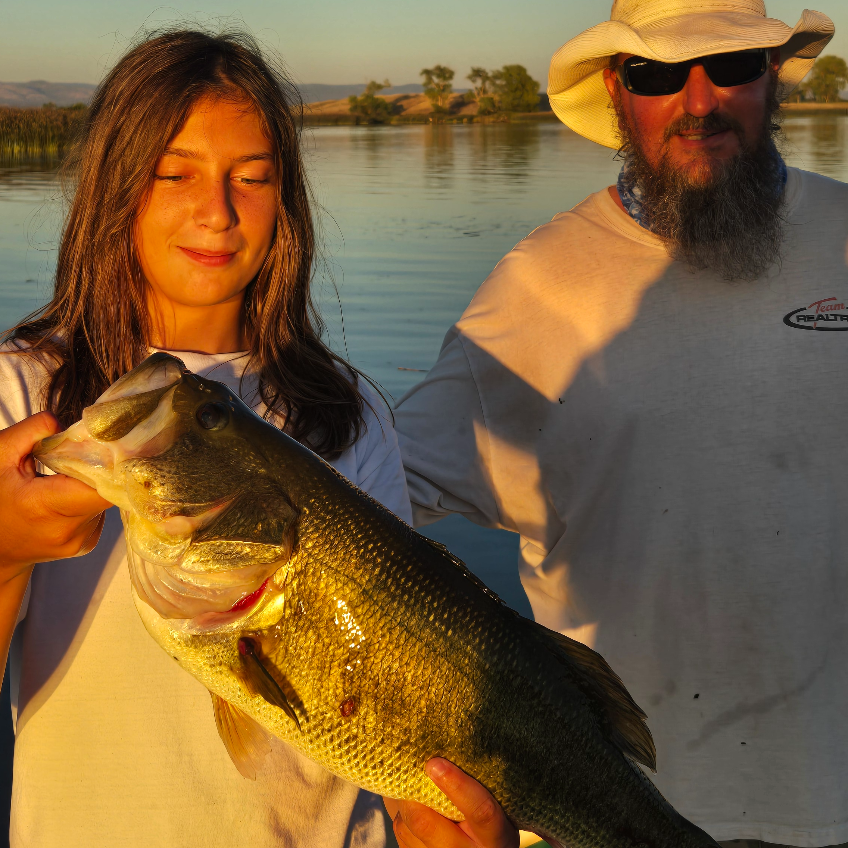 Fish Image