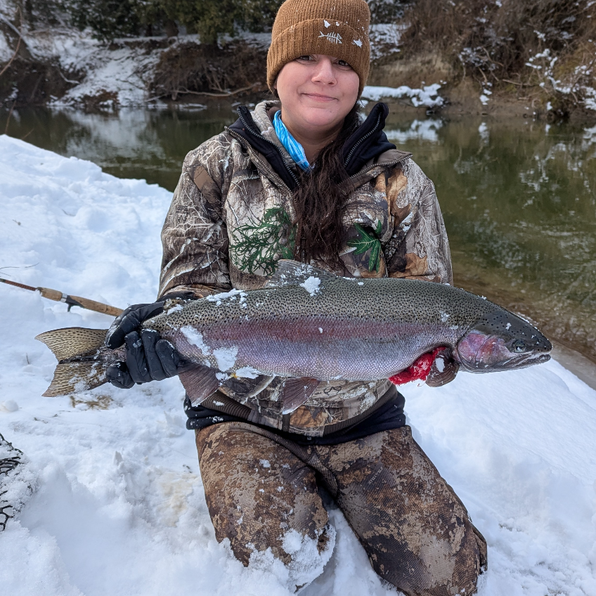 Fish Image